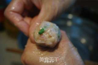 珍珠白玉手工鱼丸汤的做法步骤:4
