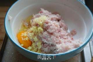 珍珠白玉手工鱼丸汤的做法步骤:3