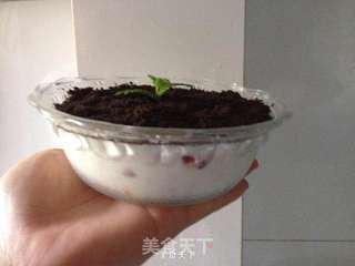 水果酸奶盆栽的做法步骤:13