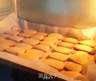 黄油脆饼干的做法步骤:9