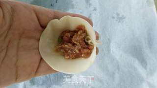 鲜肉蒸饺的做法步骤:6