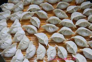 茴香馅饺子的做法步骤:9
