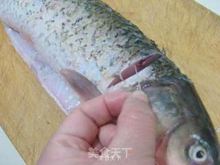 啤酒炖草鱼的做法步骤:3