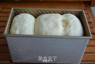 牛奶白土司的做法步骤:10