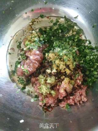 大肉饺儿~猪肉牛肉两掺长豆角大肉饺儿的做法步骤:4