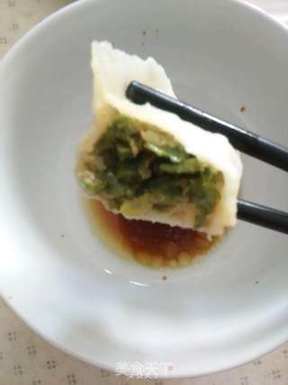 大肉饺儿~猪肉牛肉两掺长豆角大肉饺儿的做法步骤:10