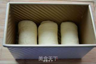 牛奶白土司的做法步骤:8