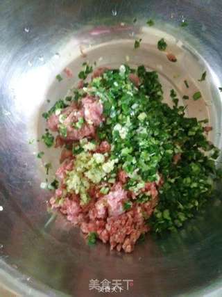大肉饺儿~猪肉牛肉两掺长豆角大肉饺儿的做法步骤:3