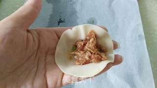 鲜肉蒸饺的做法步骤:5