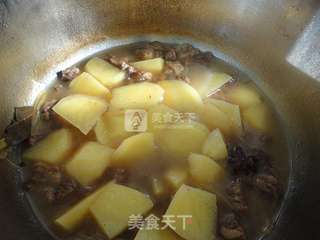 牛肉炖土豆的做法步骤:10