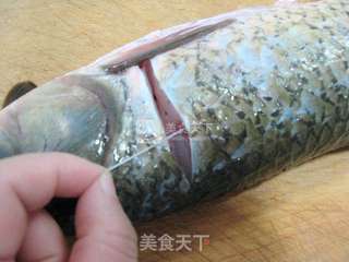 红烧草鱼的做法步骤:2
