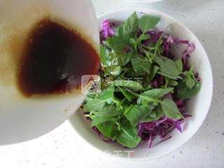荆芥拌紫甘蓝的做法步骤:6