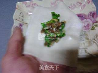 锅贴馄饨的做法步骤：3