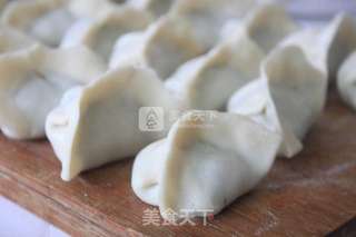 荠菜煎饺--锁住鲜美与你共享的做法步骤:9