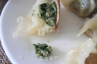 荠菜煎饺--锁住鲜美与你共享的做法步骤：11