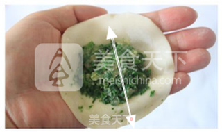 荠菜煎饺--锁住鲜美与你共享的做法步骤:4