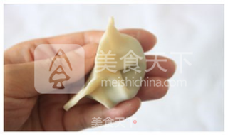 荠菜煎饺--锁住鲜美与你共享的做法步骤:8