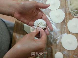 如何捏出漂亮的包子褶------仅供参考的做法步骤:12