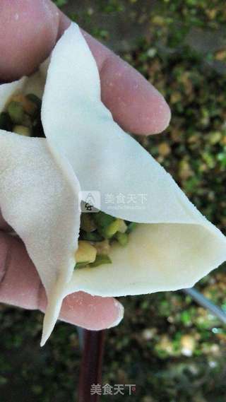 手工韭菜香菇猪肉饺子的做法步骤:3
