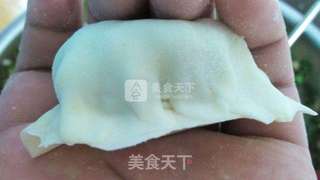 手工韭菜香菇猪肉饺子的做法步骤:7