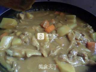 米饭最佳伴侣-----土豆咖喱鸡块的做法步骤:10