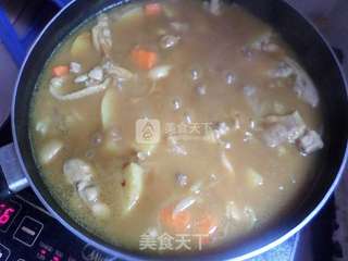 米饭最佳伴侣-----土豆咖喱鸡块的做法步骤:9