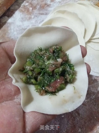 猪肉茴香水饺的做法步骤:8