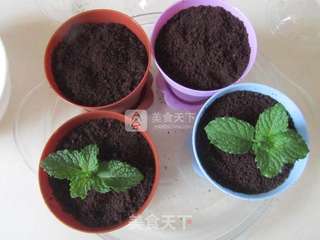 盆栽芝士蛋糕的做法步骤:23