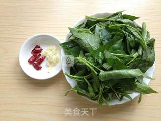 蒜香藤藤菜的做法步骤:2