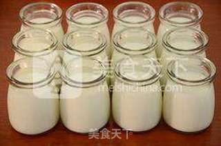 【经典老酸奶】的做法步骤:9