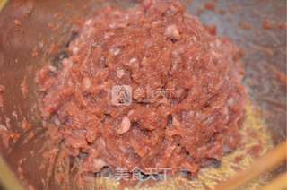 馋嘴猪肉脯的做法步骤:2