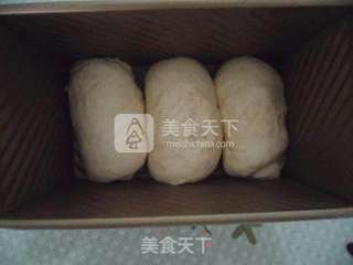 全麦吐司的做法步骤:9