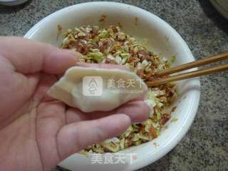 香菇圆白菜猪肉馅饺子的做法步骤:14