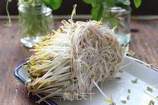 自制绿豆芽的做法步骤:7
