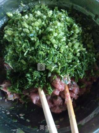 鲜茴香猪肉水饺的做法步骤:6