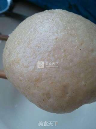燕麦肉包的做法步骤:10