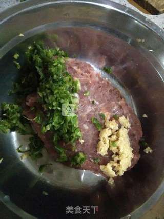 鲜茴香猪肉水饺的做法步骤:5