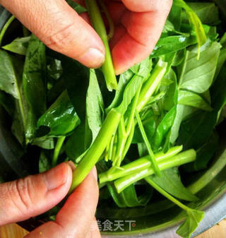 素炒空心菜的做法步骤:2