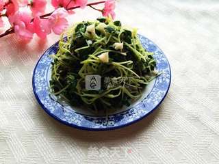 蒜香黑豆苗的做法步骤:9