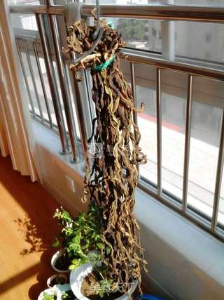豇豆干的做法步骤:7