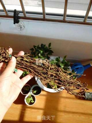 豇豆干的做法步骤:6
