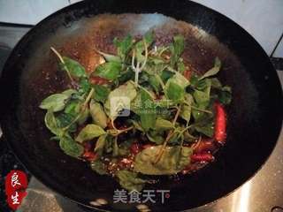 台北食光—三杯鸡的做法步骤:15