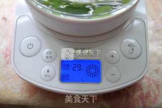 #清凉提神--薄荷茶的做法图解4