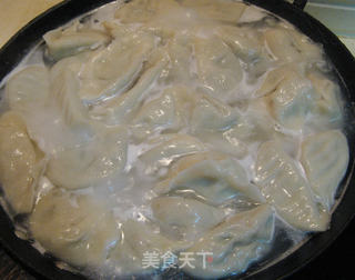黄瓜牛肉水饺的做法步骤:16