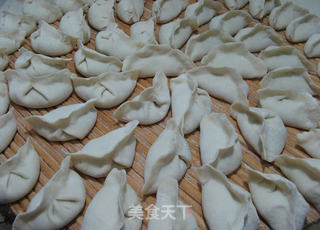 黄瓜牛肉水饺的做法步骤:15