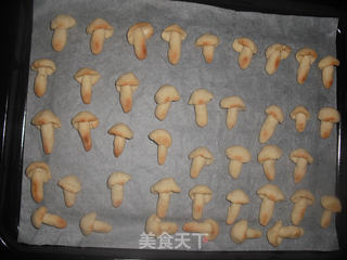 蘑菇小饼干的做法步骤:13
