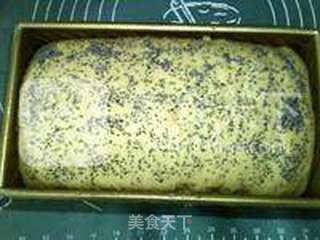 超级杂粮面包的做法步骤:16