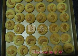 腰果酥饼的做法步骤:9