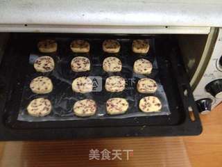 蔓越莓曲奇的做法步骤:14