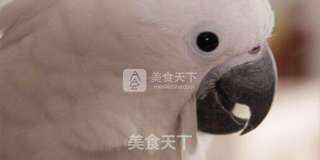 塔吉锅腊饭的做法步骤:21